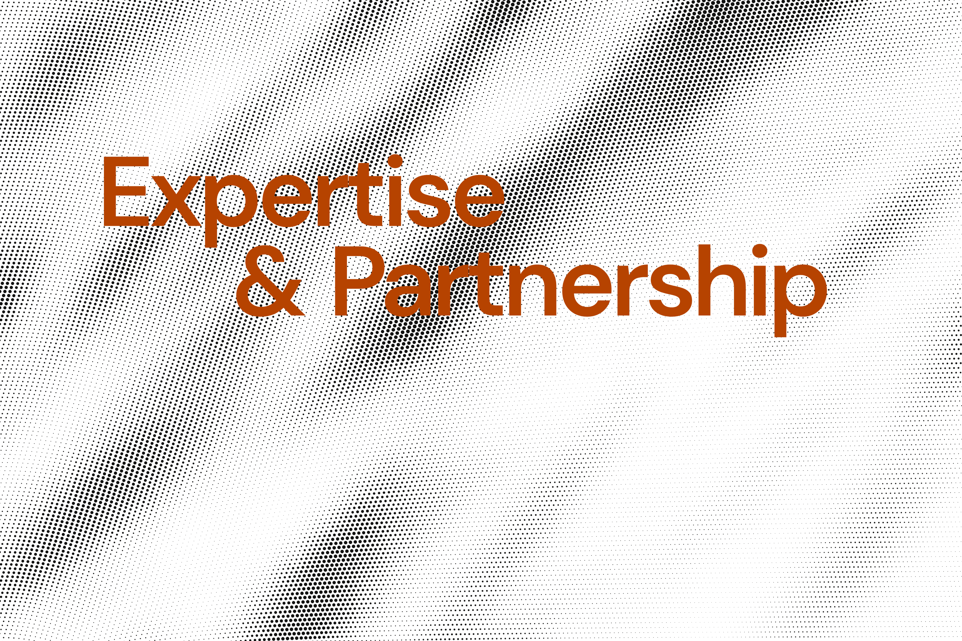 orange text on white background - 2